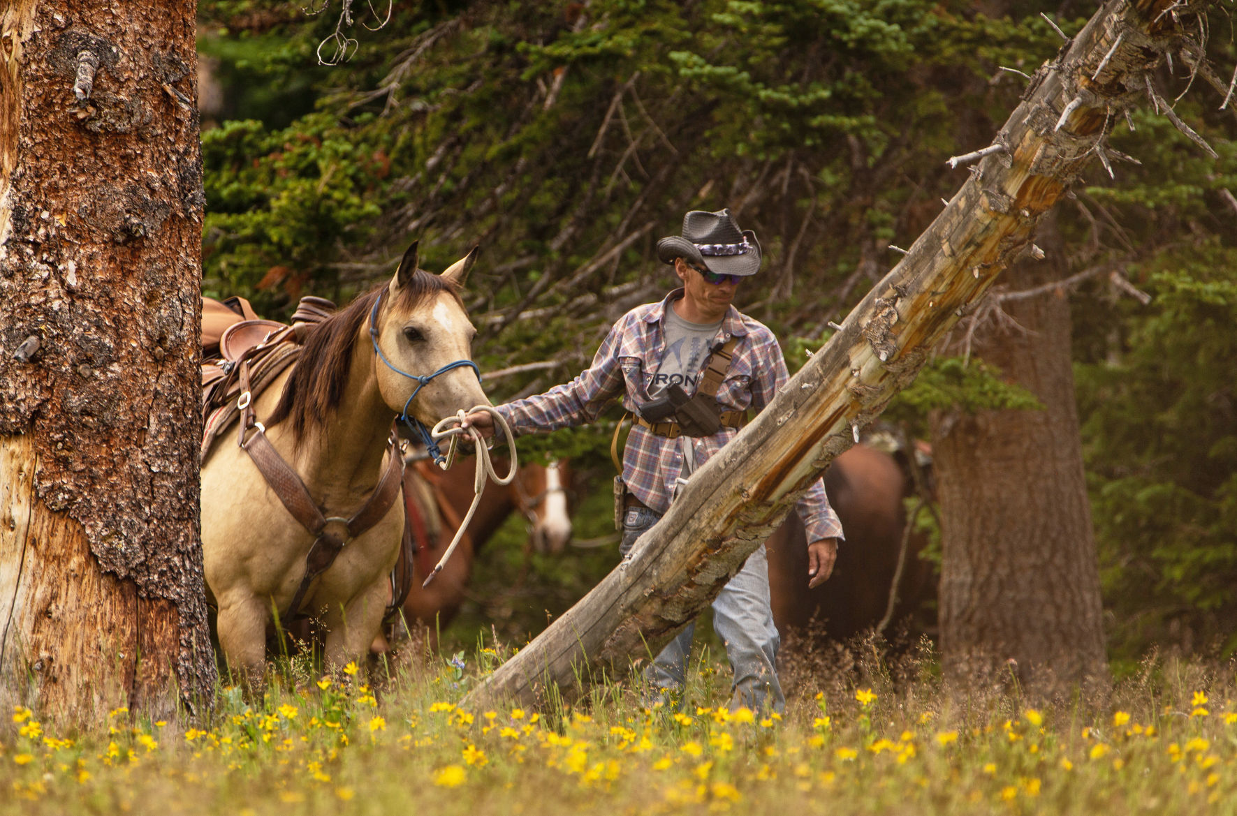 Horseman